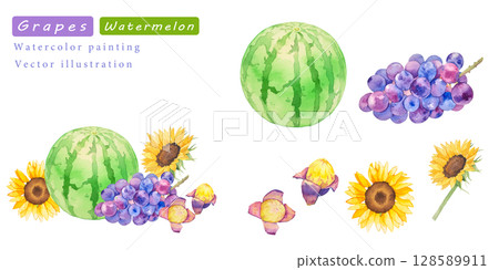 西瓜和葡萄的水彩向量夏季插畫集 128589911