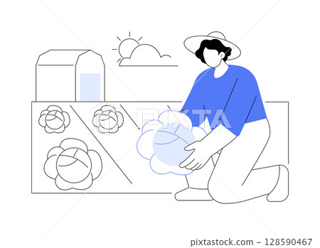 Cabbage farming isolated cartoon vector illustrations. 128590467