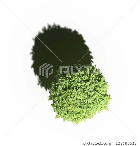 tree with a shadow under it, top view, isolate on a transparent background, 3d illustration tree with a shadow under it, top view, isolate on a transparent background, 3d illustration 128590523