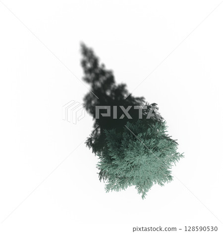 tree with a shadow under it, top view, isolate on a transparent background, 3d illustration 128590530