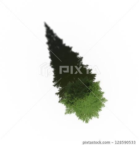tree with a shadow under it, top view, isolate on a transparent background, 3d illustration tree with a shadow under it, top view, isolate on a transparent background, 3d illustration 128590533