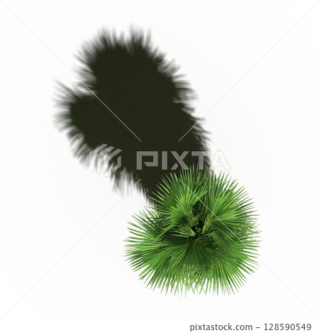 tree with a shadow under it, top view, isolate on a transparent background, 3d illustration 128590549