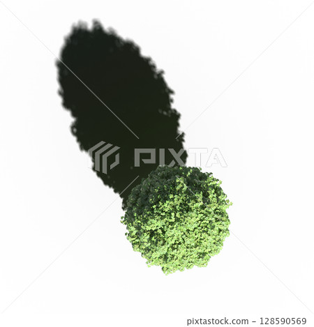 tree with a shadow under it, top view, isolate on a transparent background, 3d illustration 128590569