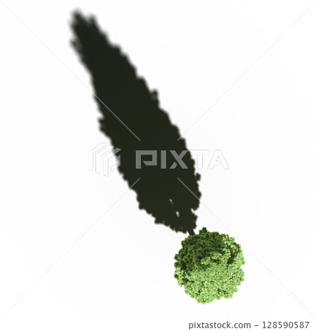 tree with a shadow under it, top view, isolate on a transparent background, 3d illustration tree with a shadow under it, top view, isolate on a transparent background, 3d illustration 128590587