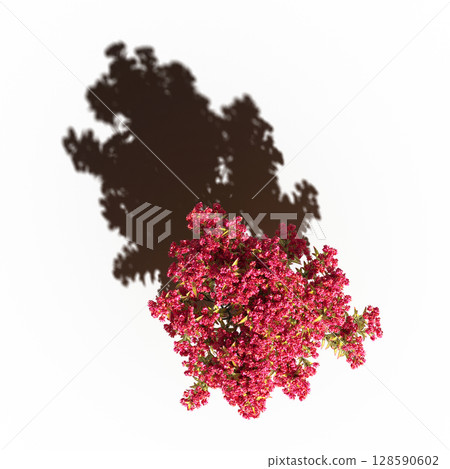 tree with a shadow under it, top view, isolate on a transparent background, 3d illustration 128590602