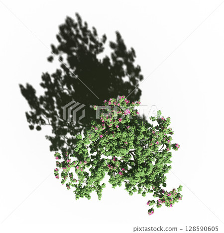 tree with a shadow under it, top view, isolate on a transparent background, 3d illustration 128590605