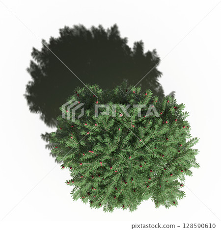 tree with a shadow under it, top view, isolate on a transparent background, 3d illustration 128590610