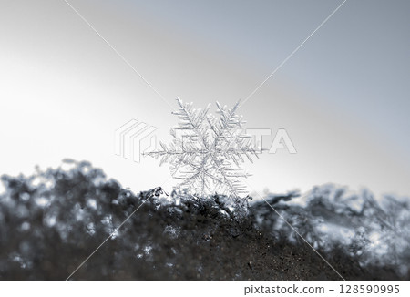 snowflake, little snowflake on the snow snowflake, little snowflake on the snow 128590995