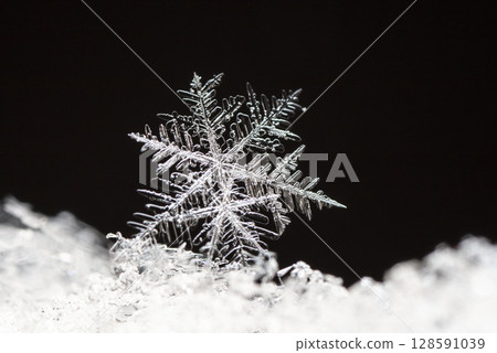 snowflake, little snowflake on the snow snowflake, little snowflake on the snow 128591039