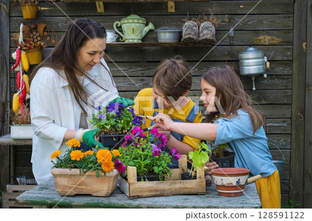 Cultivating Connections: In a radiant garden, a mother guides her children through the rituals of planting, their faces gleaming with the satisfaction of creating new life and fostering family unity. 128591122