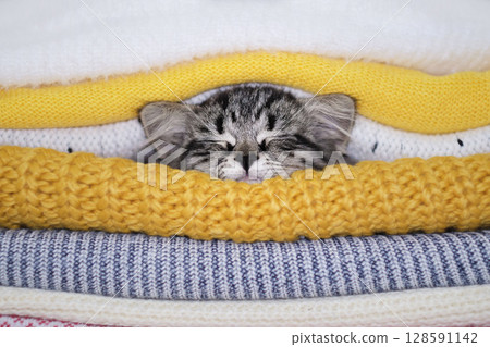 warming up in winter, gray kitten sleeps in a pile of knitted sweaters. winter season concept. autumn mood. warming up in winter, gray kitten sleeps in a pile of knitted sweaters. winter season concept. autumn mood. 128591142