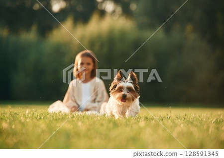 Cute little girl is on the field with dog 128591345