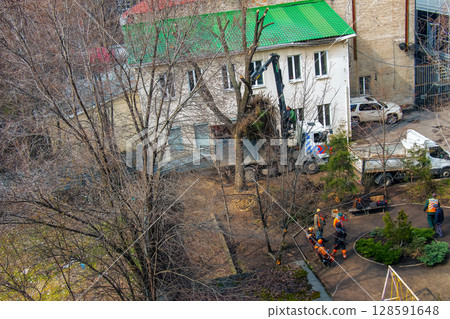 Dnipro, Ukraine - March 20, 2024: Employees of the city utility service remove tree branches after pruning in the courtyard of an apartment building. Dnipro, Ukraine - March 20, 2024: Employees of the city utility service remove tree branches after pruning in the courtyard of an apartment building. 128591648