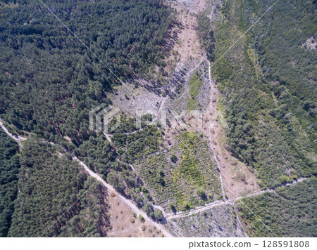 country road, view from above, aerial view country road, view from above, aerial view 128591808