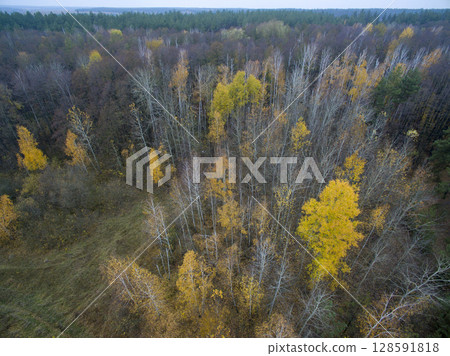 country road, view from above, aerial view country road, view from above, aerial view 128591818