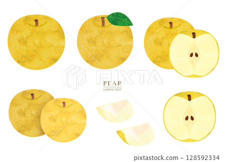 梨插圖素材集 128592334