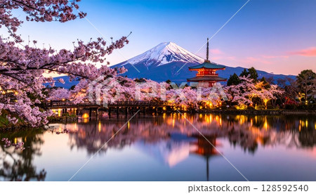 Mt. Fuji and cherry blossoms, beautiful scenery at night 128592540