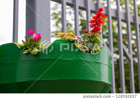A vibrant green planter filled with beautiful flowers is hanging on a fence 128592837