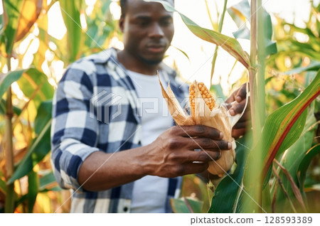 Young black man is standing in the cornfield at daytime Young black man is standing in the cornfield at daytime 128593389