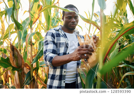 Young black man is standing in the cornfield at daytime 128593390