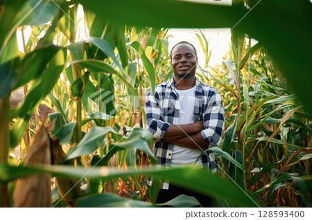 Smiling, positive emotions. Young black man is standing in the cornfield at daytime Smiling, positive emotions. Young black man is standing in the cornfield at daytime 128593400