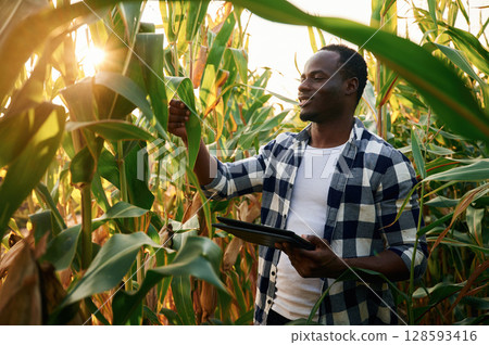 Black notepad is in hands. Young African American man is standing in the cornfield at daytime 128593416