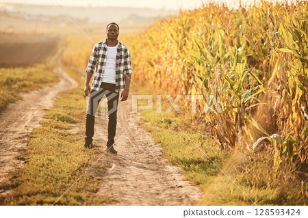 Beautiful African American man is in the agricultural field Beautiful African American man is in the agricultural field 128593424