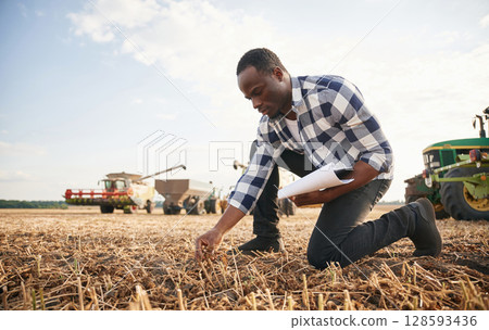 Control of the quality of the product, the wheat. Beautiful African American man is in the agricultural field 128593436