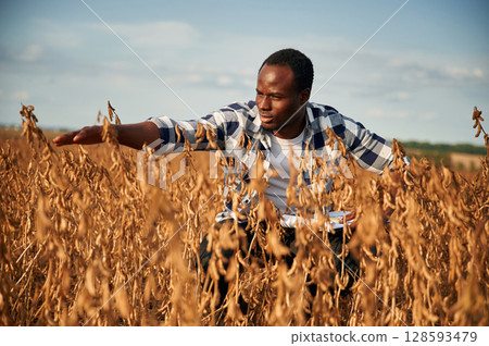 Quality control of wheat. Beautiful African American man is in the agricultural field 128593479