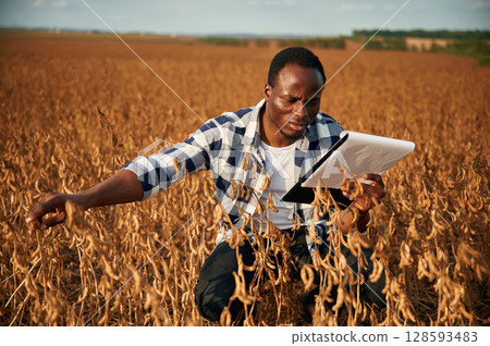 Notepad with documents in hands, checking wheat. Beautiful African American man is in the agricultural field Notepad with documents in hands, checking wheat. Beautiful African American man is in the agricultural field 128593483