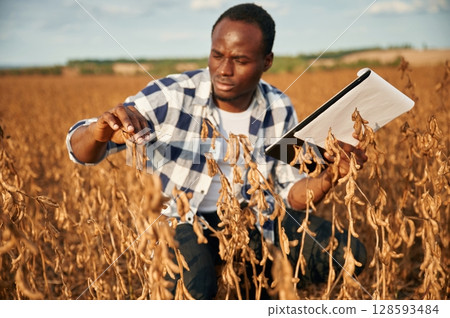 Notepad with documents in hands, checking wheat. Beautiful African American man is in the agricultural field Notepad with documents in hands, checking wheat. Beautiful African American man is in the agricultural field 128593484