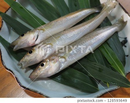 Fresh Japanese whiting 128593649
