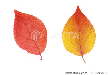落葉插畫水彩枯葉 落葉插畫水彩枯葉 128593895
