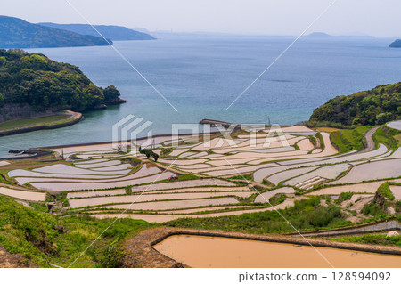 Nagasaki Prefecture: Tsuchiya Rice Terraces: A Primitive Japanese Landscape 128594092
