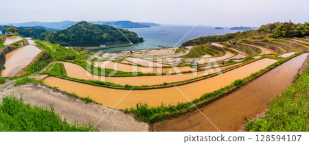 Nagasaki Prefecture: Tsuchiya Rice Terraces: A Primitive Japanese Landscape 128594107