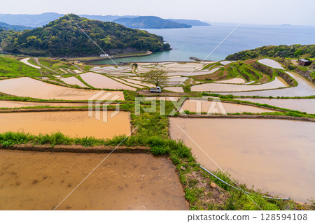 Nagasaki Prefecture: Tsuchiya Rice Terraces: A Primitive Japanese Landscape 128594108