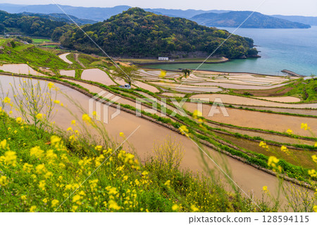 長崎縣：土屋梯田：日本原始景觀 128594115