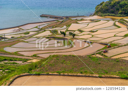 長崎縣：土屋梯田：日本原始景觀 128594120