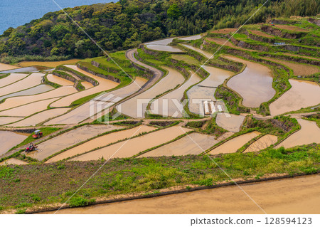 Nagasaki Prefecture: Tsuchiya Rice Terraces: A Primitive Japanese Landscape 128594123