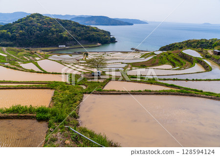 Nagasaki Prefecture: Tsuchiya Rice Terraces: A Primitive Japanese Landscape Nagasaki Prefecture: Tsuchiya Rice Terraces: A Primitive Japanese Landscape 128594124