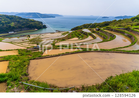 長崎縣：土屋梯田：日本原始景觀 128594126