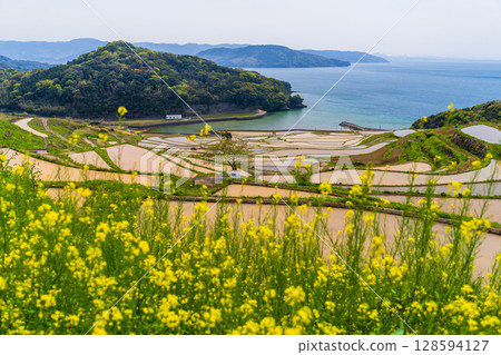 長崎縣：土屋梯田：日本原始景觀 128594127