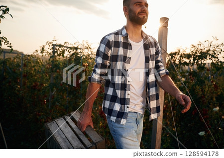 Holding wooden box. Bunch of tomatoes. Beautiful young man is in the garden 128594178