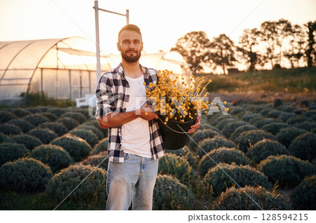 Succulent flowers of craspedia in hands. Young man on agricultural field near the greenhouse that is behind Succulent flowers of craspedia in hands. Young man on agricultural field near the greenhouse that is behind 128594215