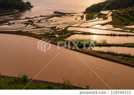 長崎縣：黃昏時的土屋梯田－原始的日本風景 128594222
