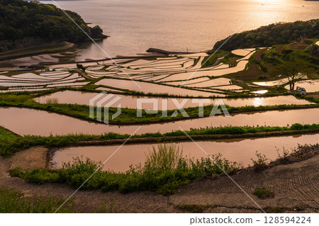 Nagasaki Prefecture: Tsuchiya rice terraces at dusk - a pristine Japanese landscape Nagasaki Prefecture: Tsuchiya rice terraces at dusk - a pristine Japanese landscape 128594224