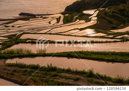 長崎縣：黃昏時的土屋梯田－原始的日本風景 128594230