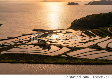 Nagasaki Prefecture: Tsuchiya rice terraces at dusk - a pristine Japanese landscape Nagasaki Prefecture: Tsuchiya rice terraces at dusk - a pristine Japanese landscape 128594235