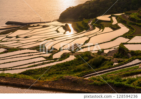 Nagasaki Prefecture: Tsuchiya rice terraces at dusk - a pristine Japanese landscape Nagasaki Prefecture: Tsuchiya rice terraces at dusk - a pristine Japanese landscape 128594236