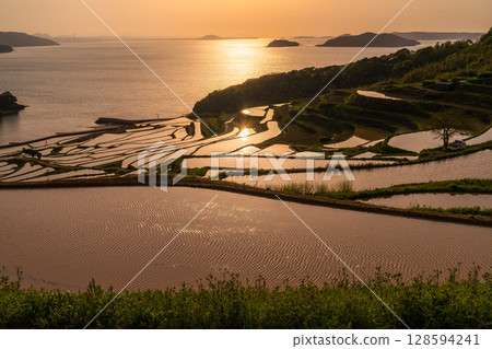 長崎縣：黃昏時的土屋梯田－原始的日本風景 128594241